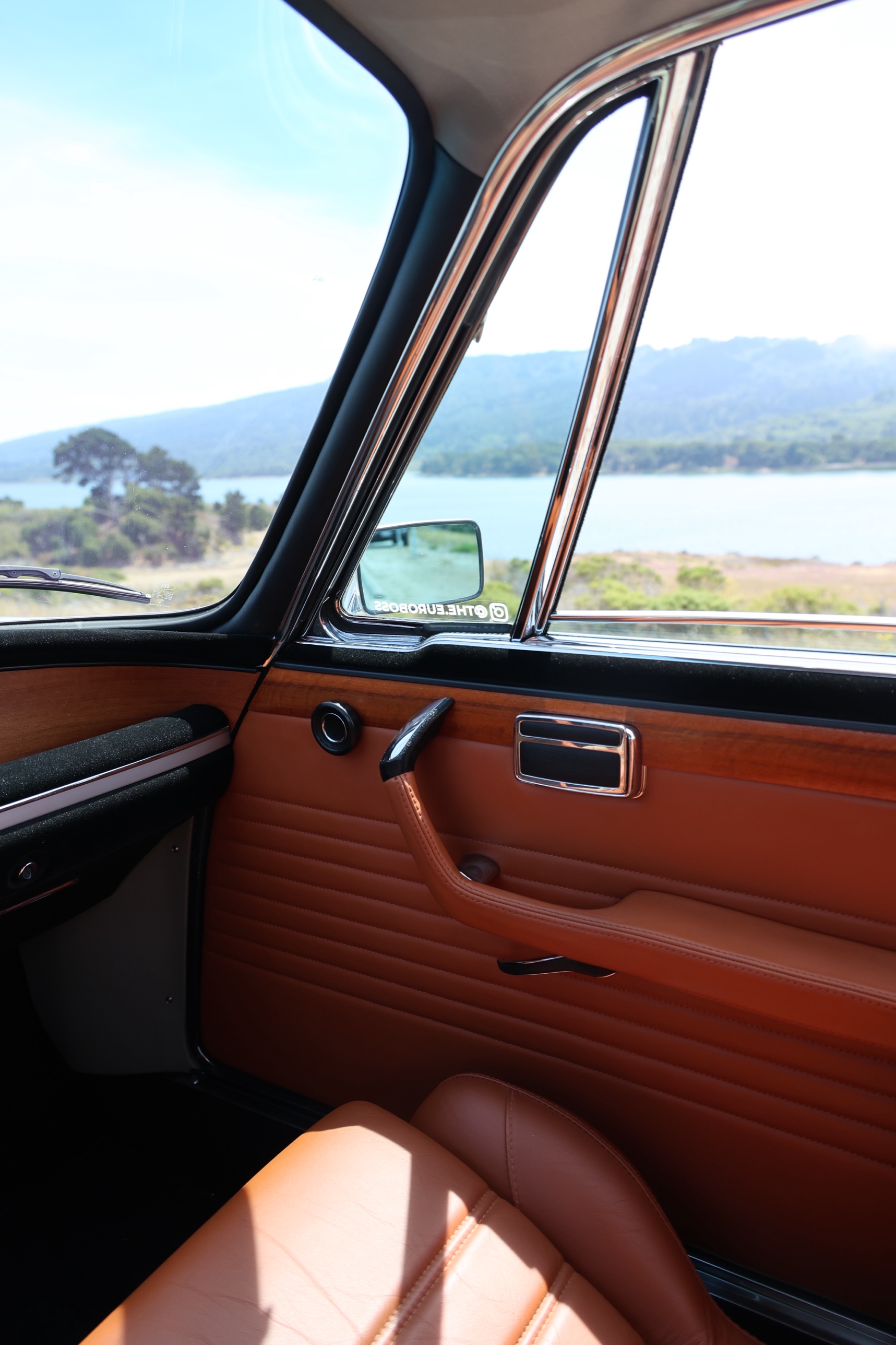 Interior door panel and window