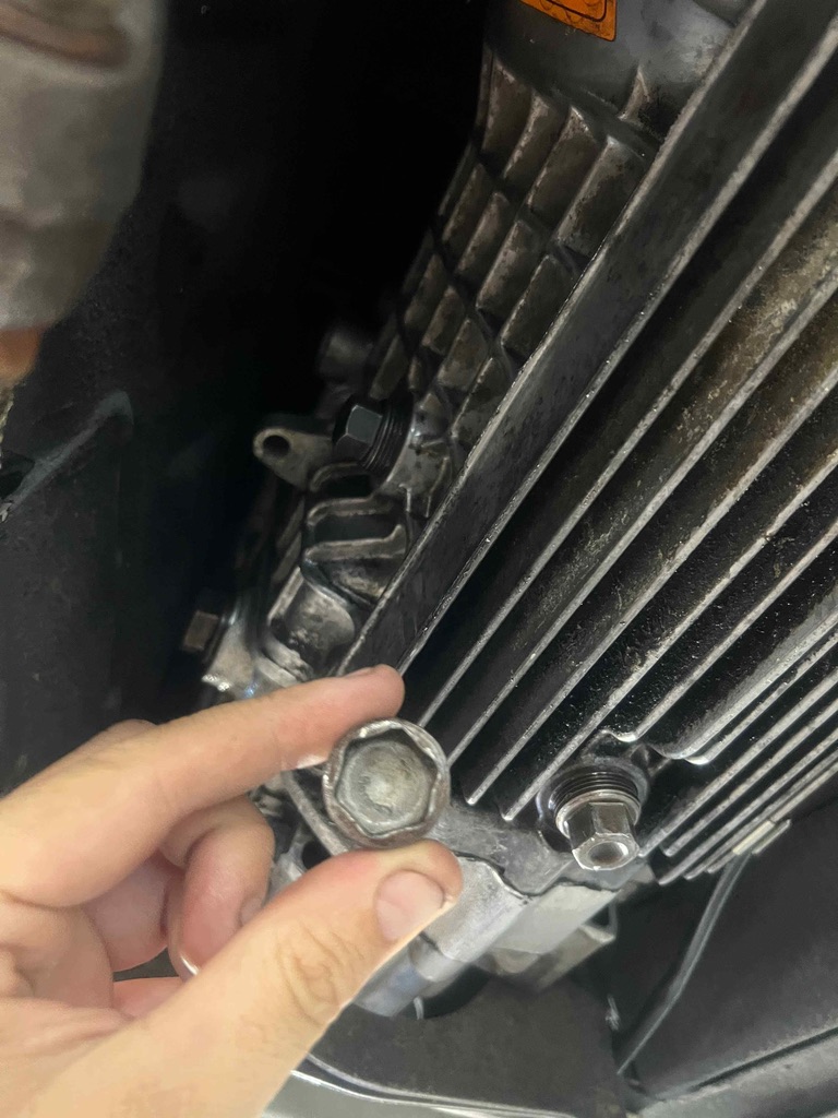 Oil pan drain plug, close-up